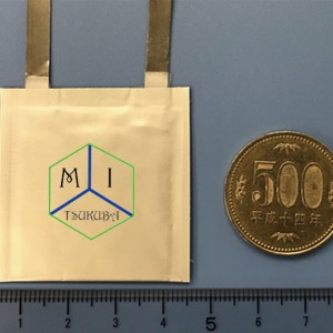 グラフェンとCNTの組み合わせで次世代キャパシタを実現
